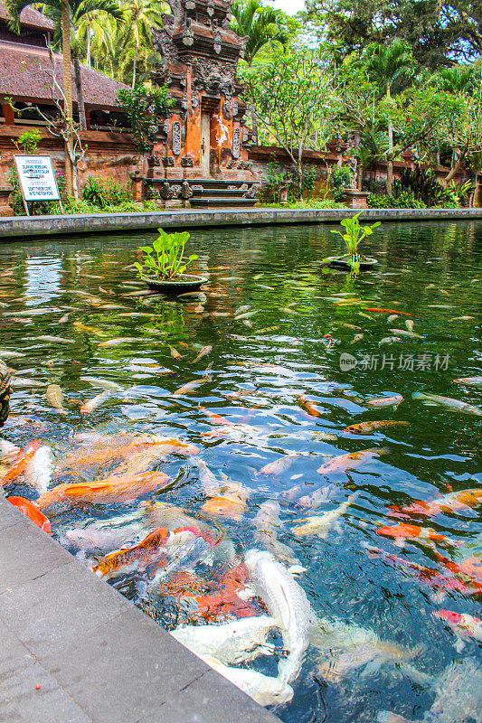 印度尼西亚巴厘岛的Tirta Empul temple。